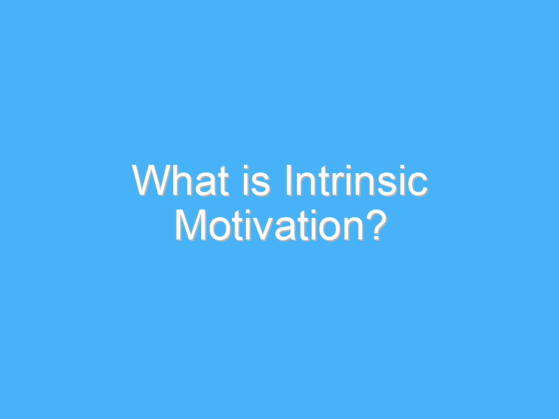what is intrinsic motivation 2379 3