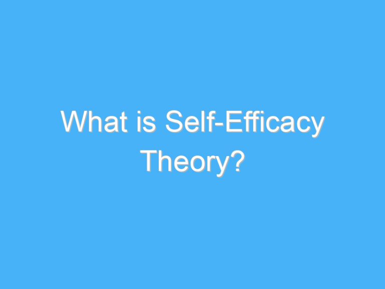What is Self-Efficacy Theory?