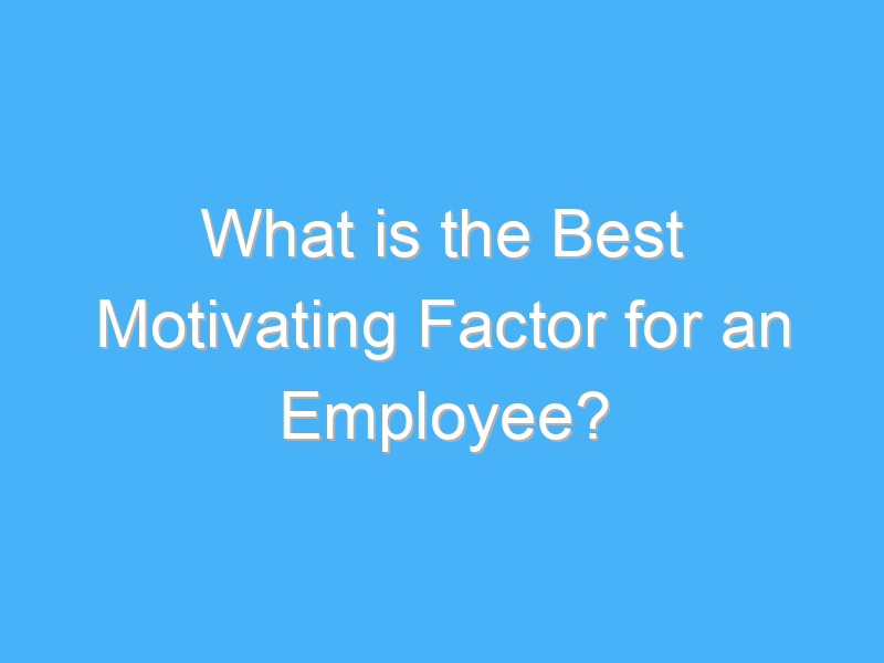 what is the best motivating factor for an employee 494