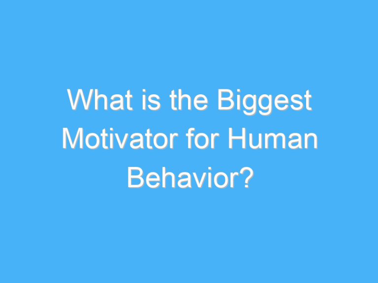 What is the Biggest Motivator for Human Behavior?