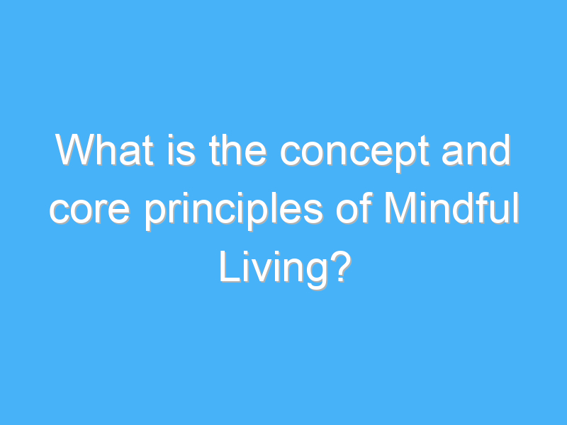 what is the concept and core principles of mindful living 2382 3