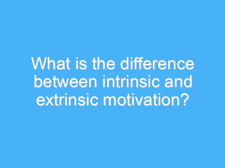 What is the difference between intrinsic and extrinsic motivation?