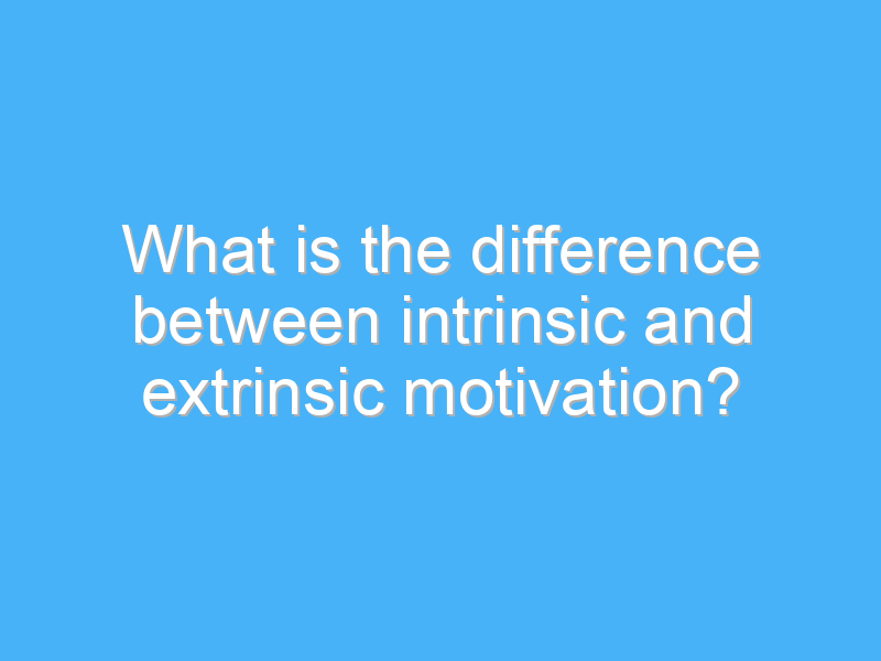 what is the difference between intrinsic and extrinsic motivation 2864 2