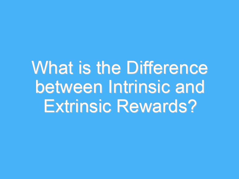 What is the Difference between Intrinsic and Extrinsic Rewards?