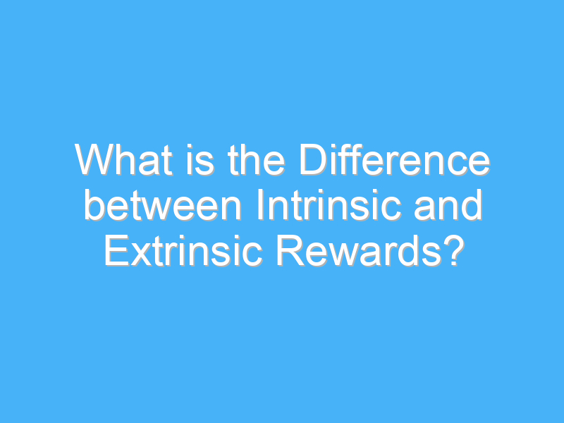 what is the difference between intrinsic and extrinsic rewards 2243 2
