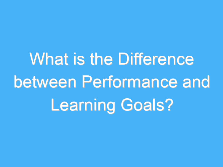 What is the Difference between Performance and Learning Goals?