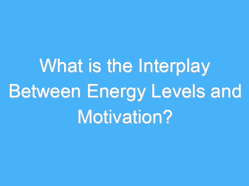 what is the interplay between energy levels and motivation 3040 3