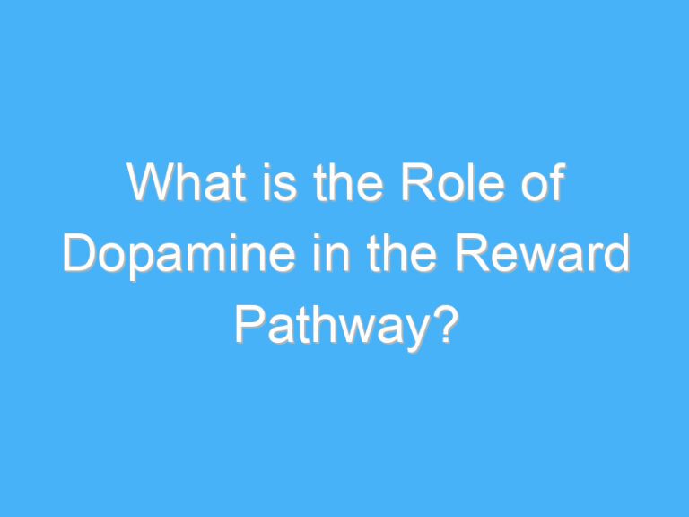 What is the Role of Dopamine in the Reward Pathway?