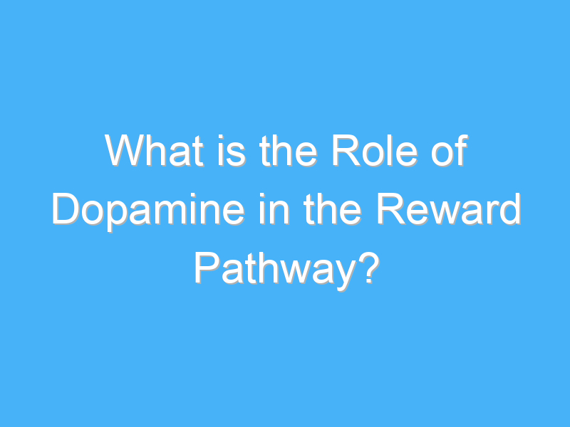 what is the role of dopamine in the reward pathway 1663