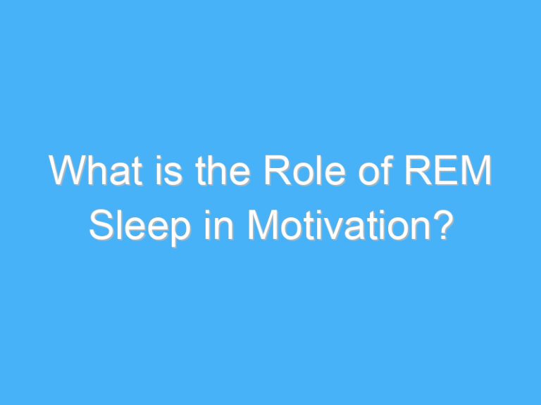 What is the Role of REM Sleep in Motivation?