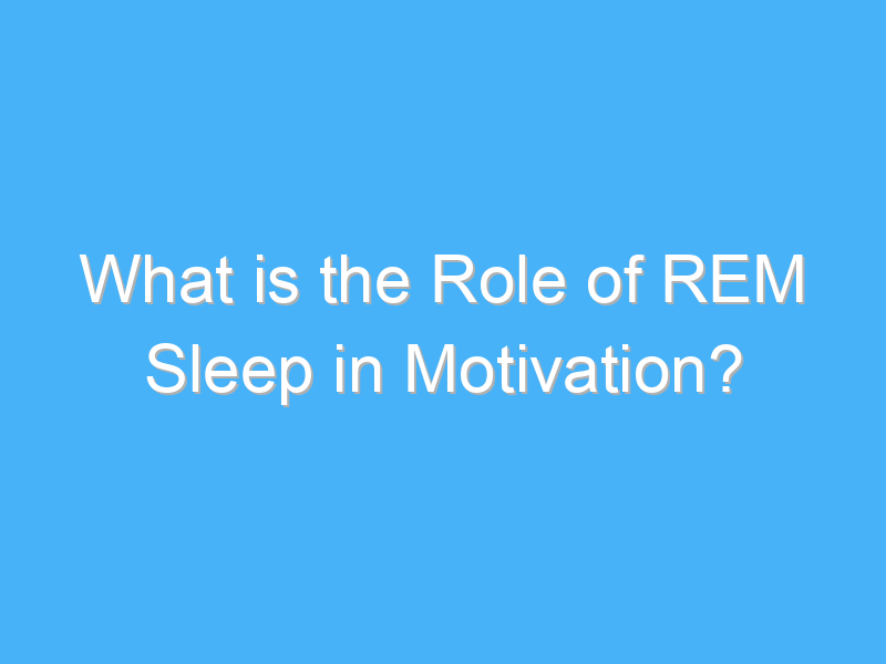 what is the role of rem sleep in motivation 2019 1