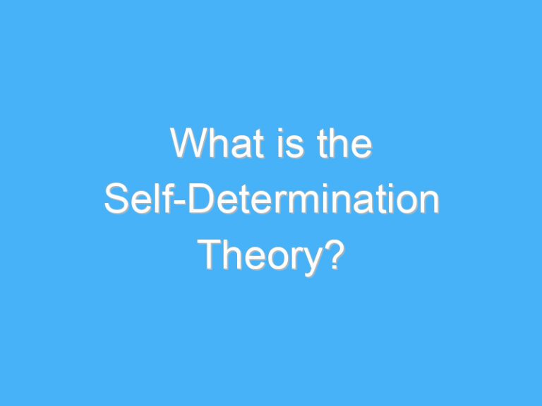 What is the Self-Determination Theory?