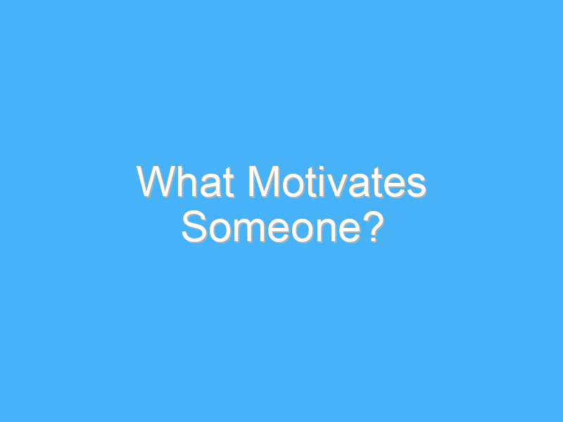 what motivates someone 258