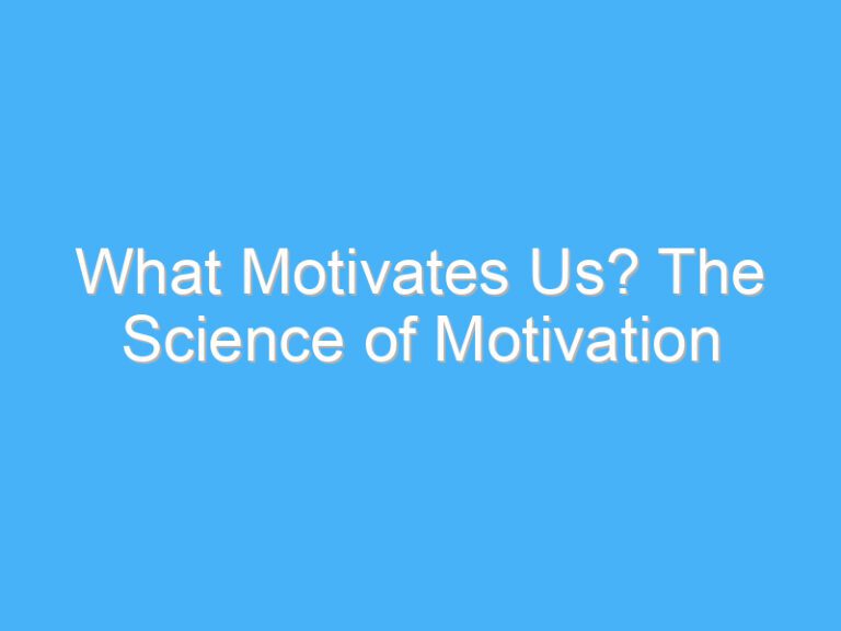 What Motivates Us? The Science of Motivation