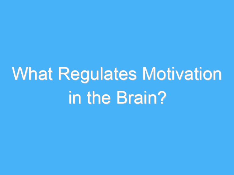 What Regulates Motivation in the Brain?