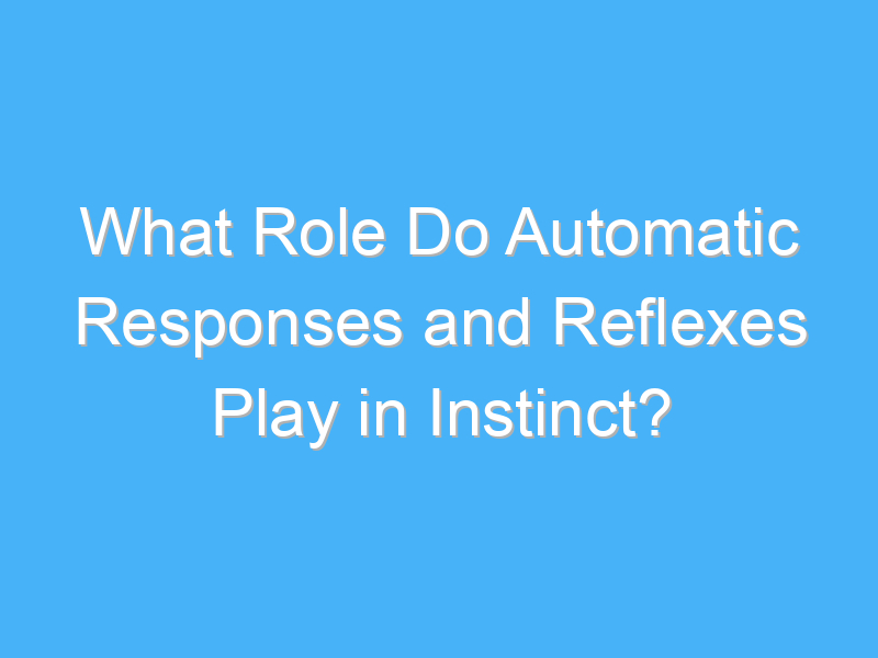 what role do automatic responses and reflexes play in instinct 2592 2