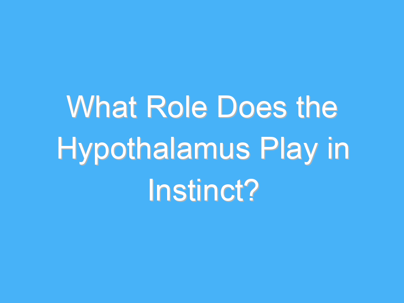 what role does the hypothalamus play in instinct 2087
