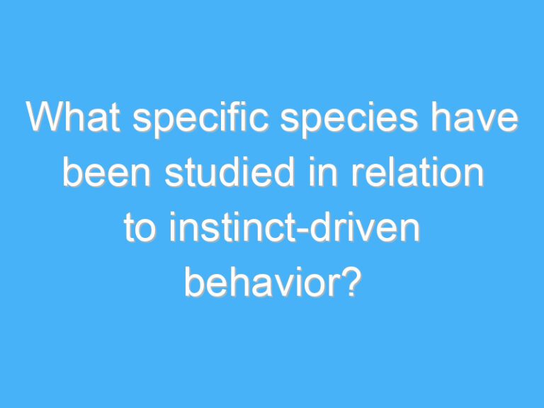 What specific species have been studied in relation to instinct-driven behavior?