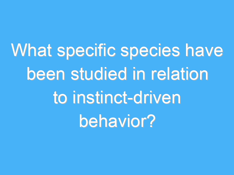 what specific species have been studied in relation to instinct driven behavior 1659