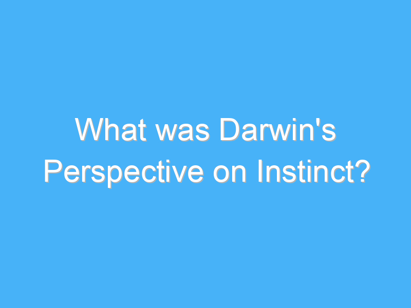 what was darwins perspective on instinct 2692 2