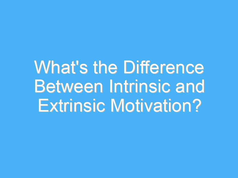 whats the difference between intrinsic and extrinsic motivation 2951 1