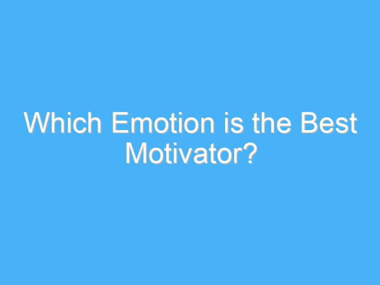 Which Emotion is the Best Motivator?