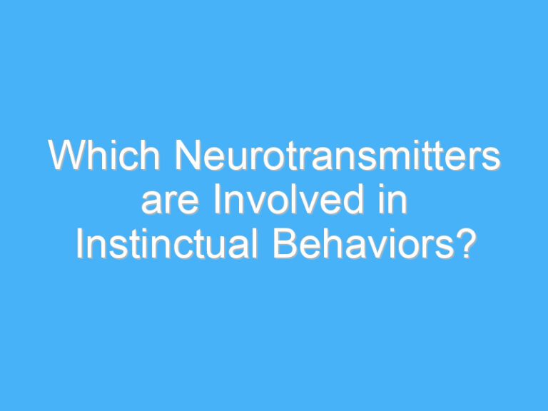 Which Neurotransmitters are Involved in Instinctual Behaviors?