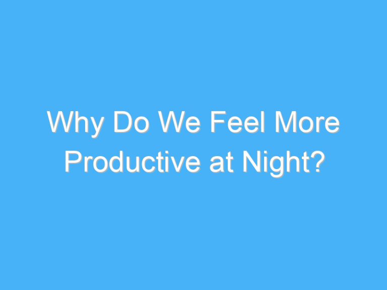 Why Do We Feel More Productive at Night?