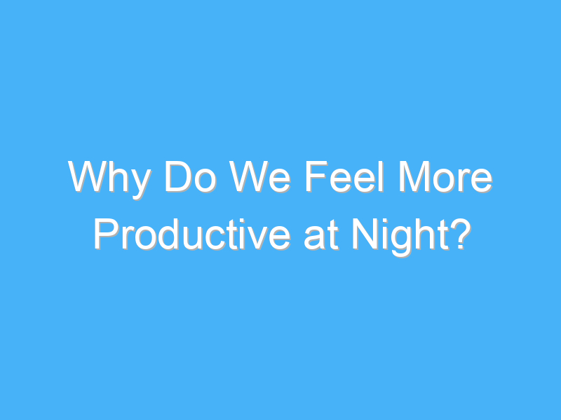 why do we feel more productive at night 953