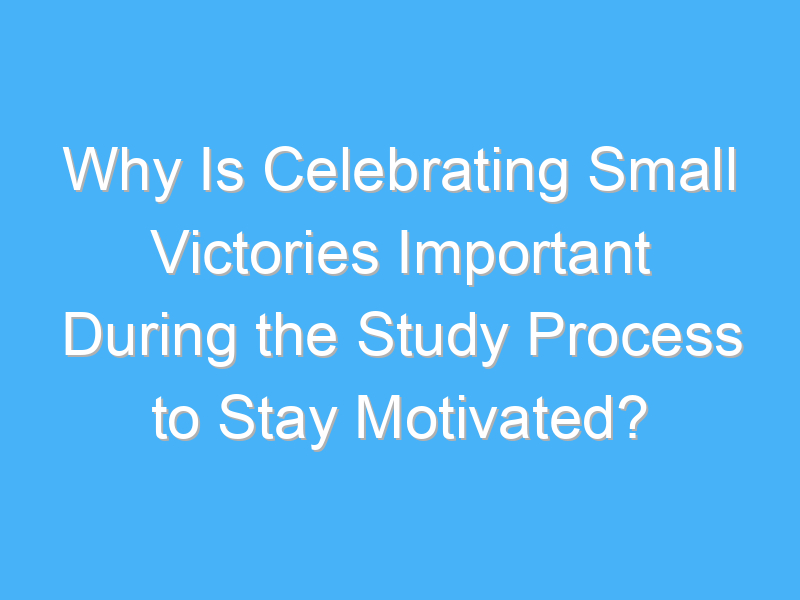 why is celebrating small victories important during the study process to stay motivated 2833