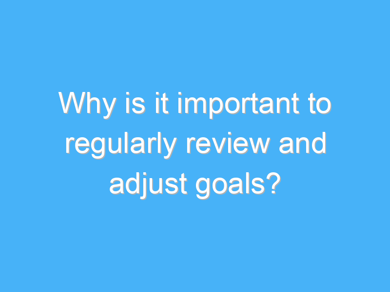 why is it important to regularly review and adjust goals 1959
