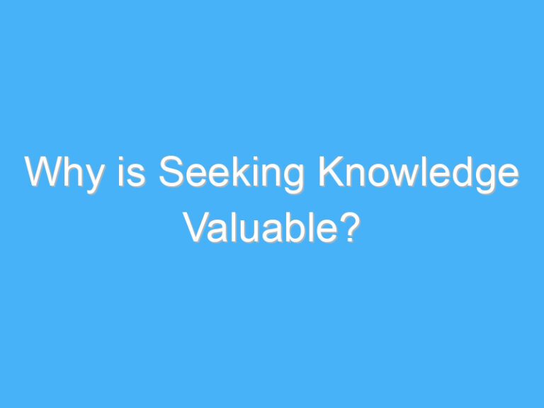 Why is Seeking Knowledge Valuable?