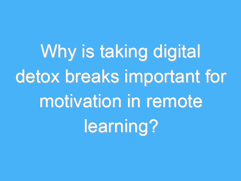 why is taking digital detox breaks important for motivation in remote learning 2740 1