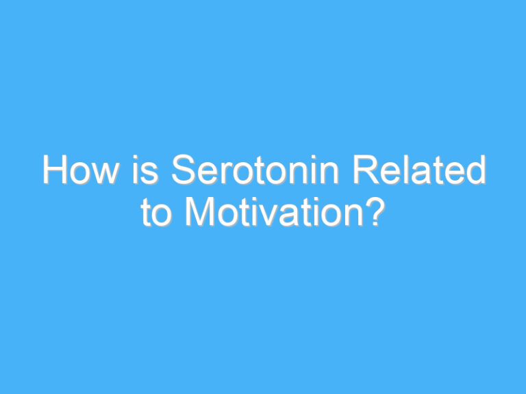 How is Serotonin Related to Motivation?