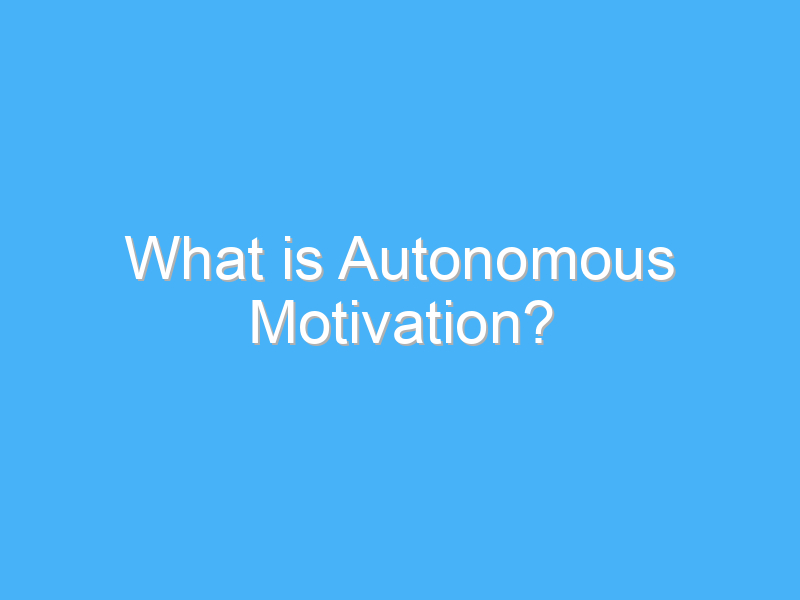 what is autonomous motivation 8078