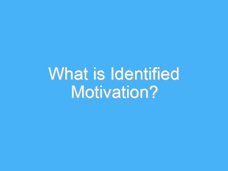 What is Identified Motivation?