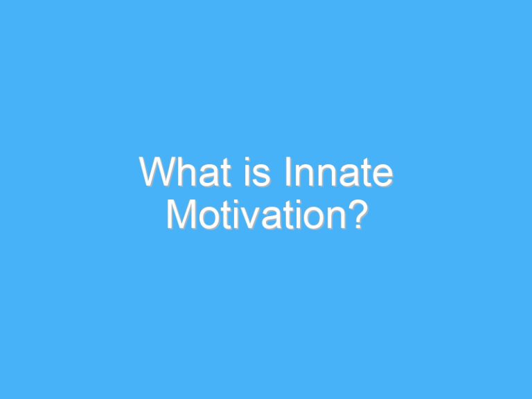 What is Innate Motivation?