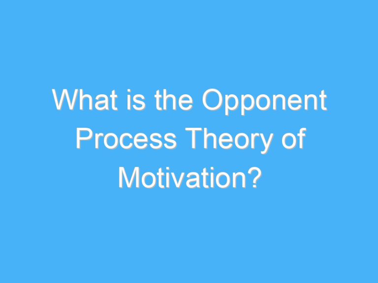 What is the Opponent Process Theory of Motivation?