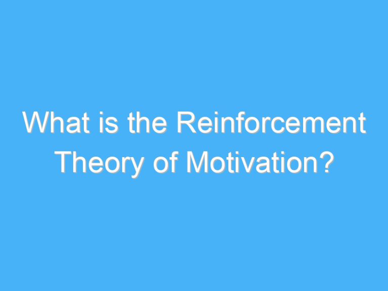 What is the Reinforcement Theory of Motivation?