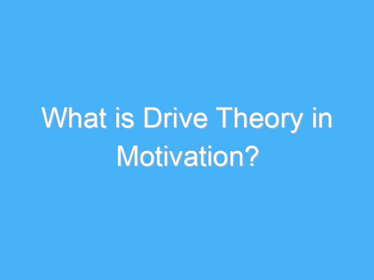What is Drive Theory in Motivation?