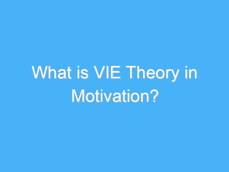 What is VIE Theory in Motivation?